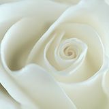 bijoux fantaisie noel blanc rose 01 thumb