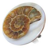 Nature Bijoux Printemps Ete 2015 Wanderlust Bague Nature Bijoux Printemps Ete 2015 Wanderlust Bague
