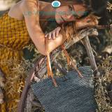 Le Voyage en Panier Sac en Crochet Ilana Les Hesperides Angouleme