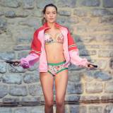 Les Hesperides Lingerie Isabelle de Paris Culotte Pampa